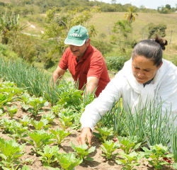 É preciso reconhecer as necessidades dos assentamentos para criar políticas públicas adequadas