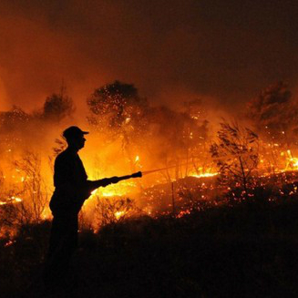 Brasil está mais inflamável, sugerem dados de satélite