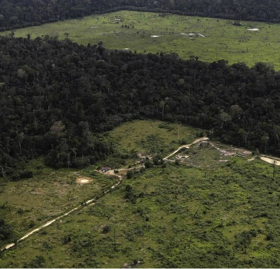 Desmatamento de junho de 2021 confirma pior semestre na Amazônia