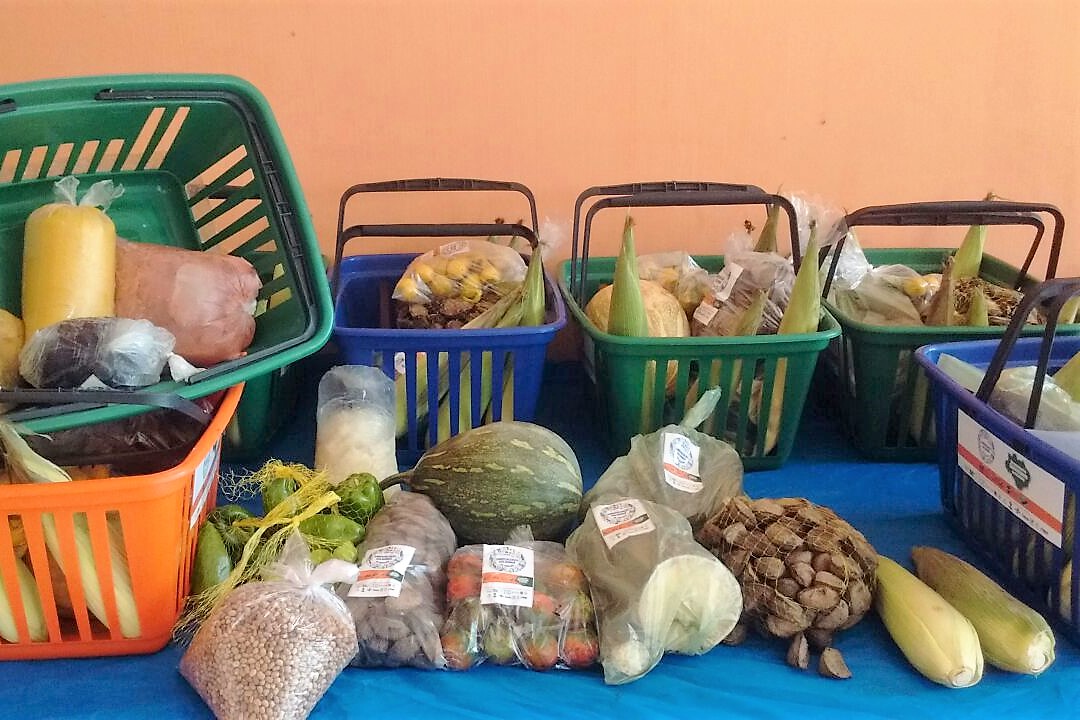 Consumidores de Itaituba recebem alimentos direto dos agricultores familiares