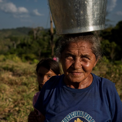 Novo livro do IPAM coloca lupa sobre desmatamento em assentamentos