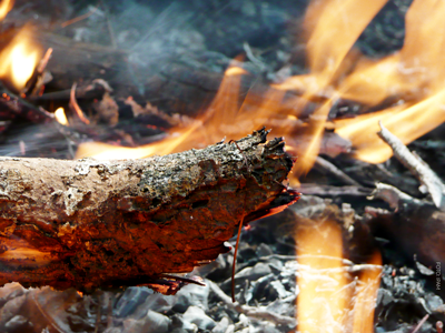 Brasil entra na Cúpula do Clima pela porta dos fundos e perde oportunidades