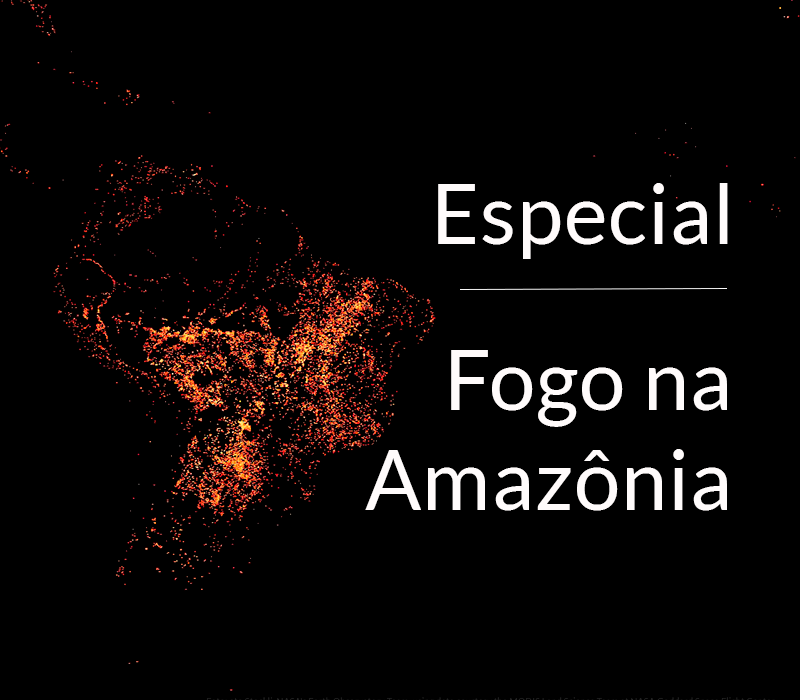 Reportagem especial sobre queimadas: 1. A Amazônia que arde