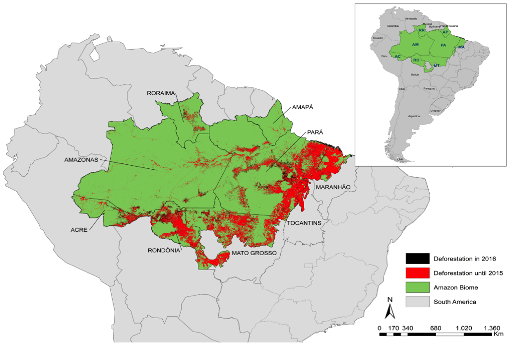 O desmatamento na floresta amazônica em 2016: o dragão acordou