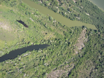 Matas ciliares ajudam a manter fertilizantes fora dos rios, afirmam cientistas