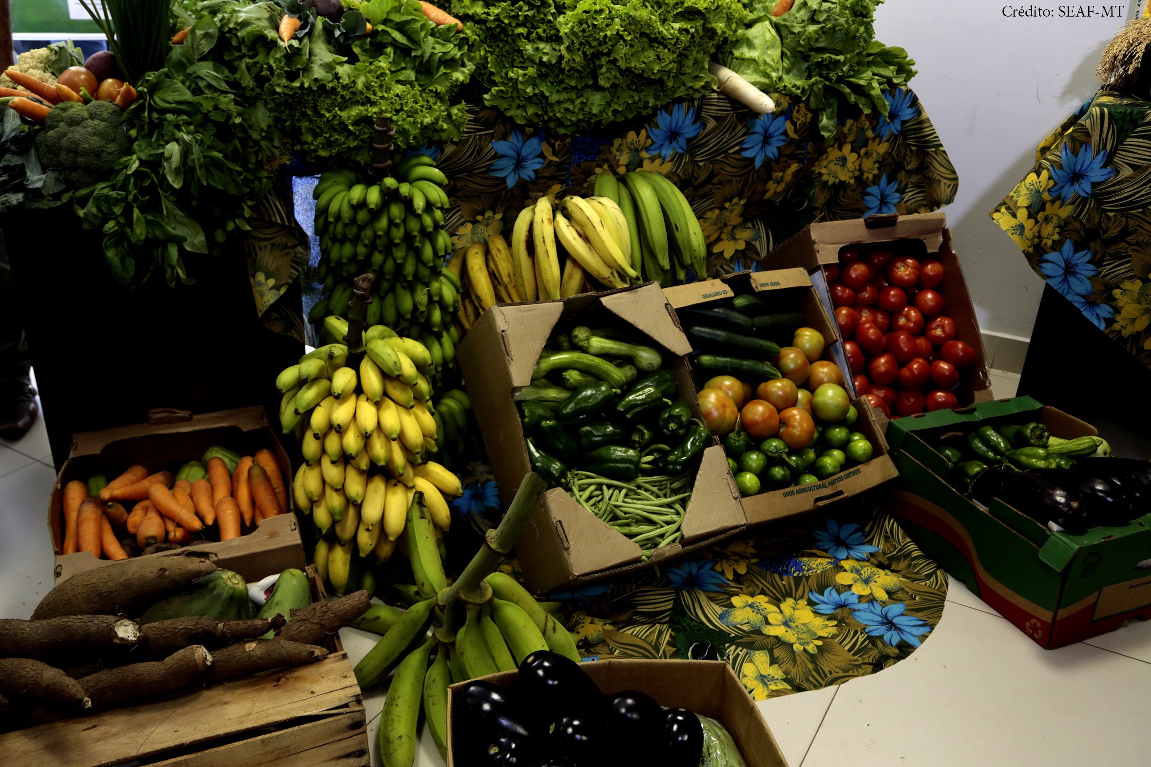 Plano estadual da agricultura familiar é aprovado em Mato Grosso