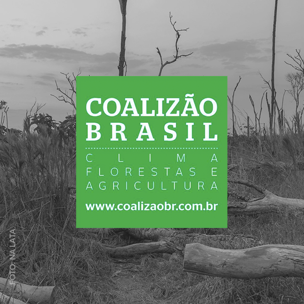 Desmatamento e redução de unidades de conservação comprometem o Brasil