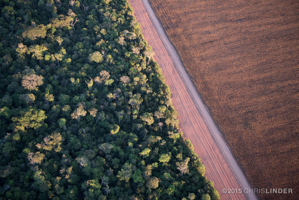 Evento científico debate agricultura e conservação na Amazônia e no cerrado