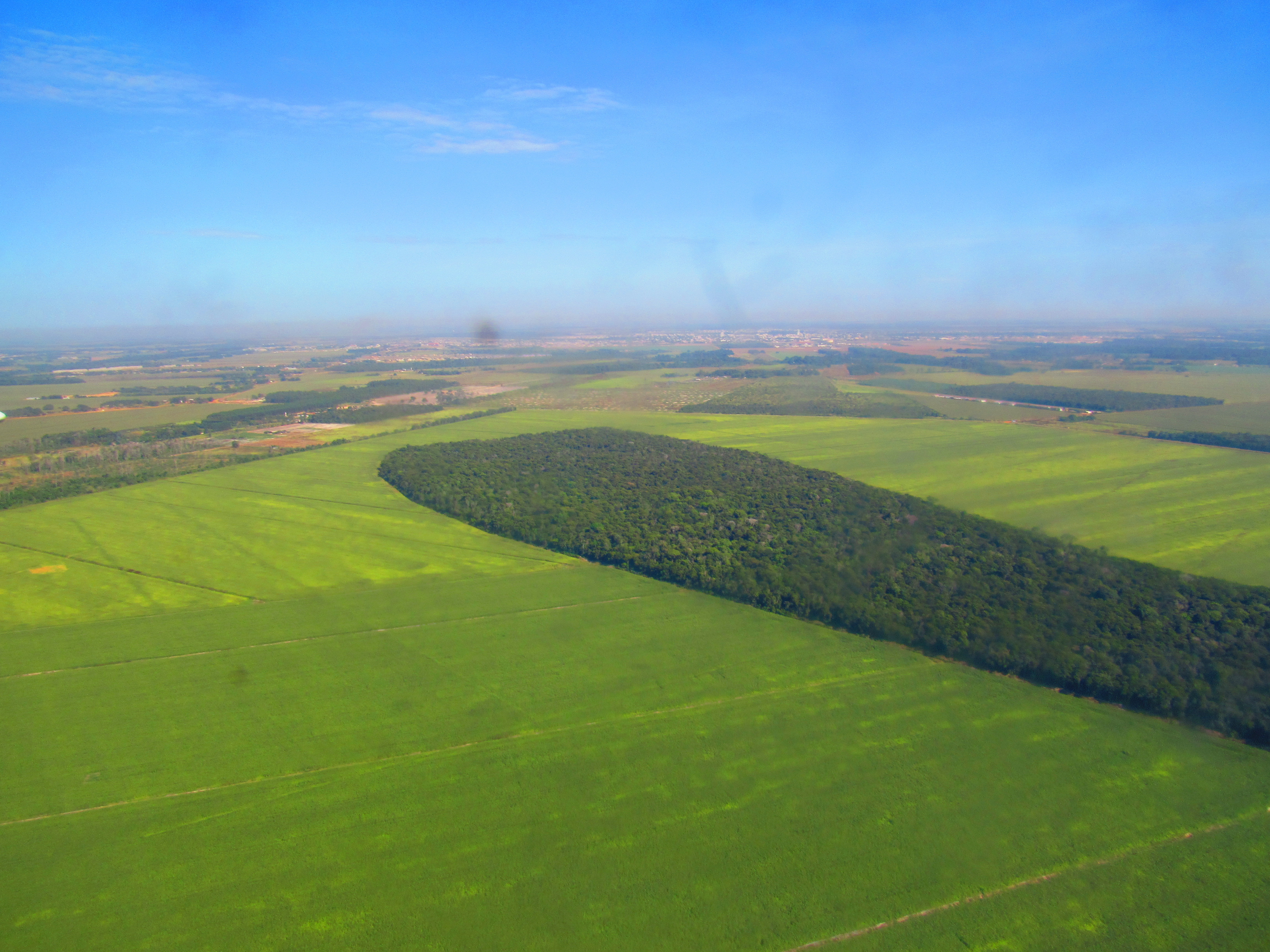 CAR é insuficiente para coibir o desmatamento e estimular a regularização