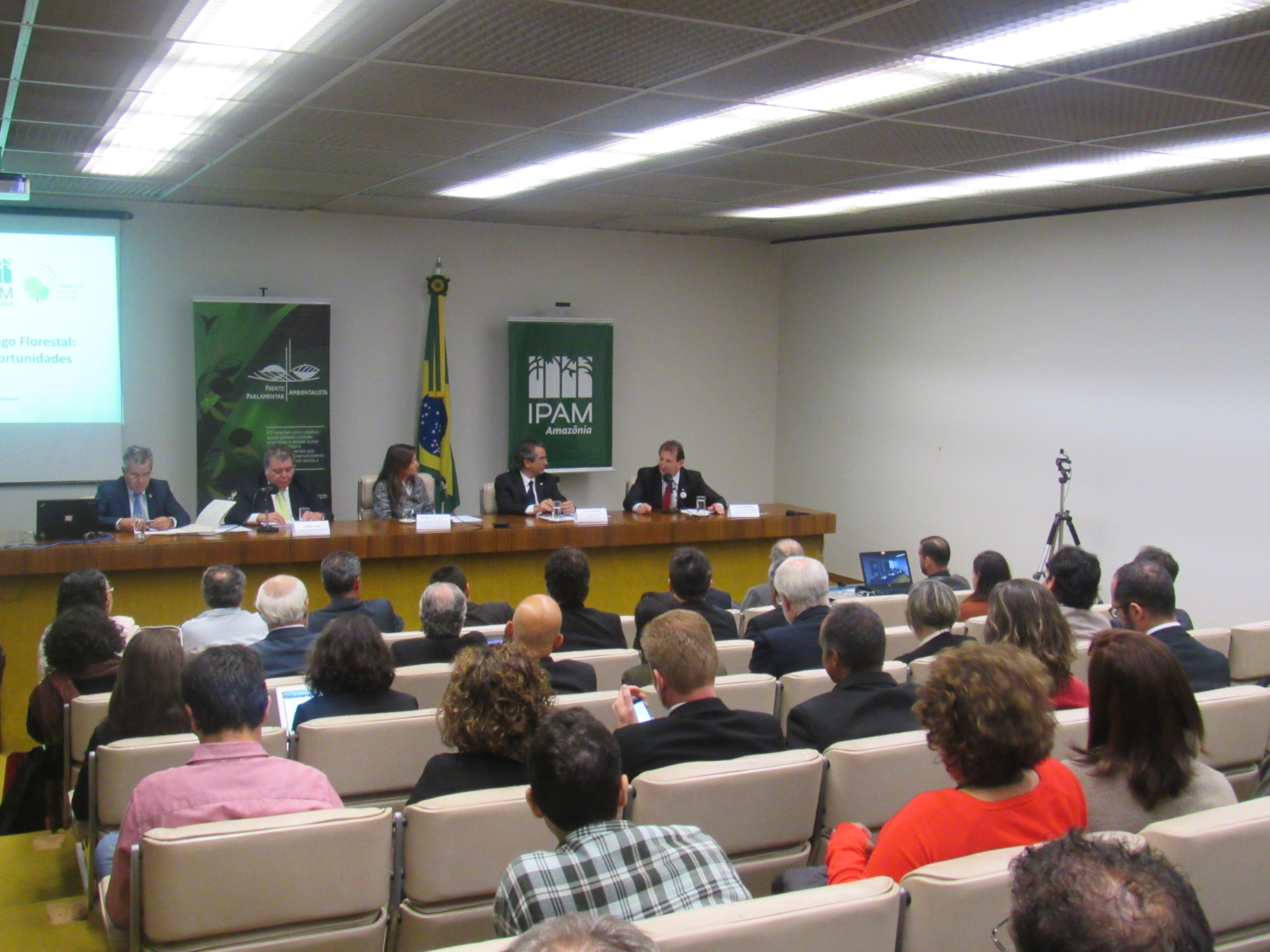 Repique do desmatamento é alerta para cumprimento efetivo do Código Florestal