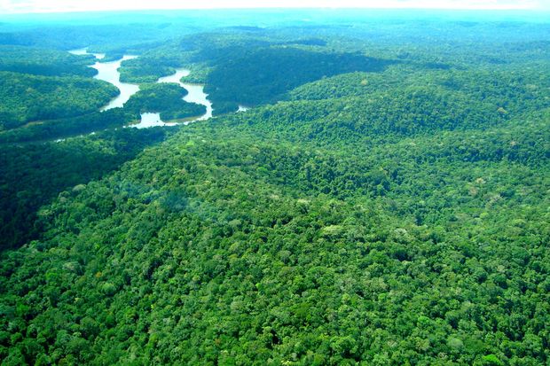 Abolição de reserva na Amazônia afeta animais em extinção e terras indígenas