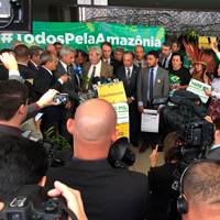 Mais de 600 mil brasileiros e movimentos pedem o fim dos ataques à floresta