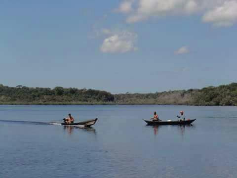 Bacia do Tapajós assina acordo para preservação ambiental