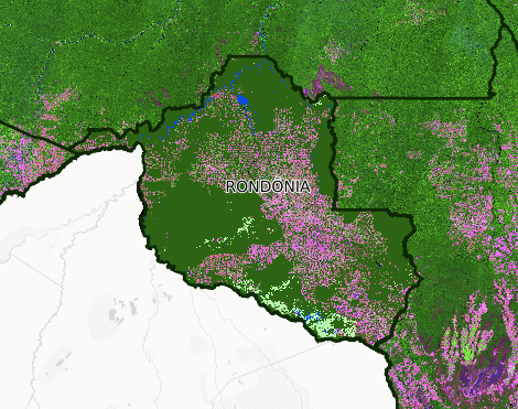 Carta aberta em defesa da criação de 11 unidades de conservação em Rondônia