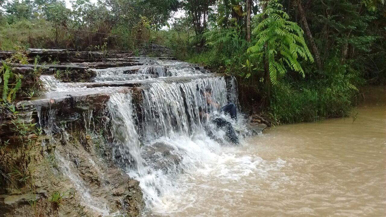 Brazilian soccer competition plants deedlings in the Amazon