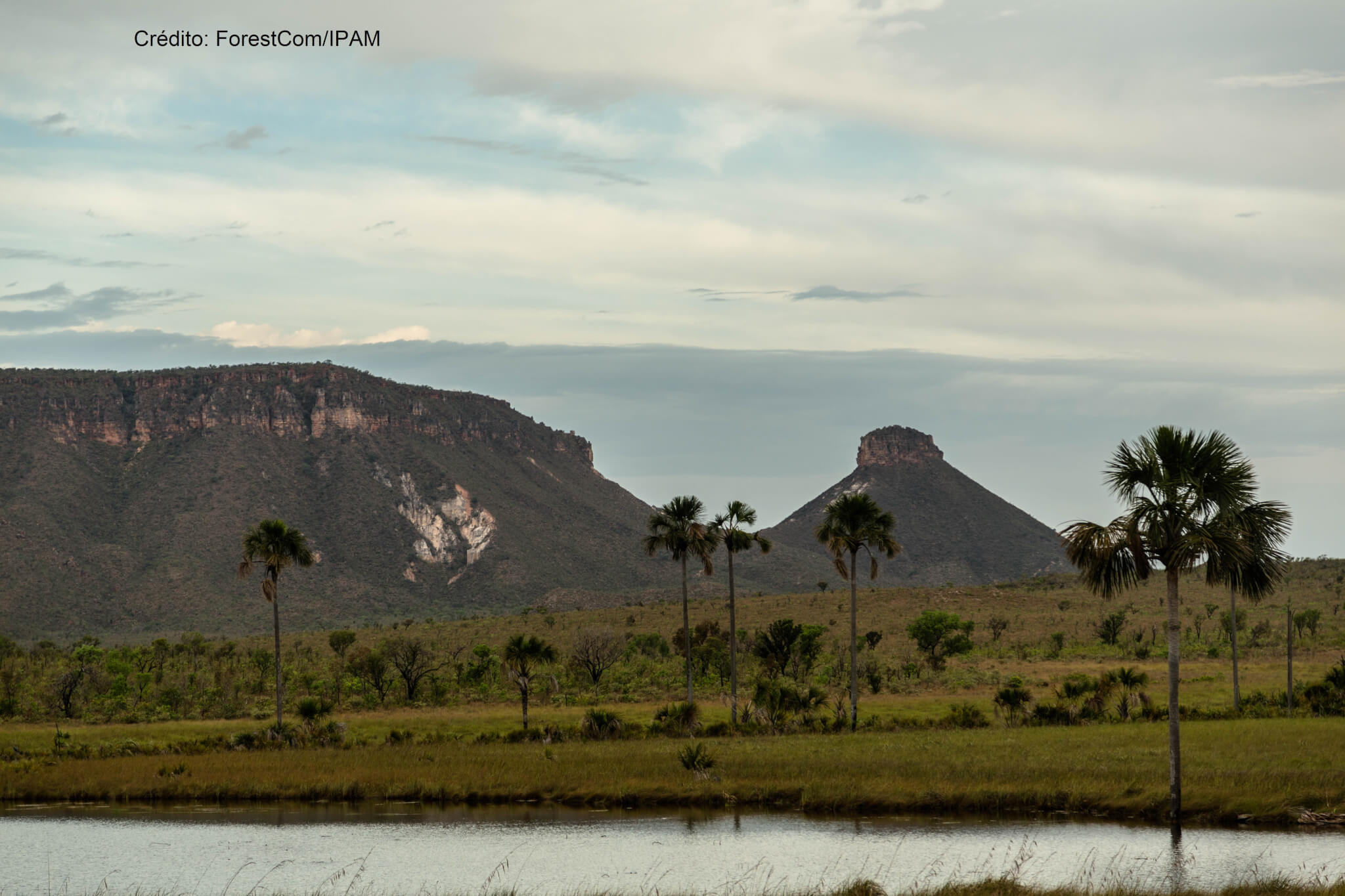 Pesquisadores analisam a conexão entre produção de alimentos, energia e água