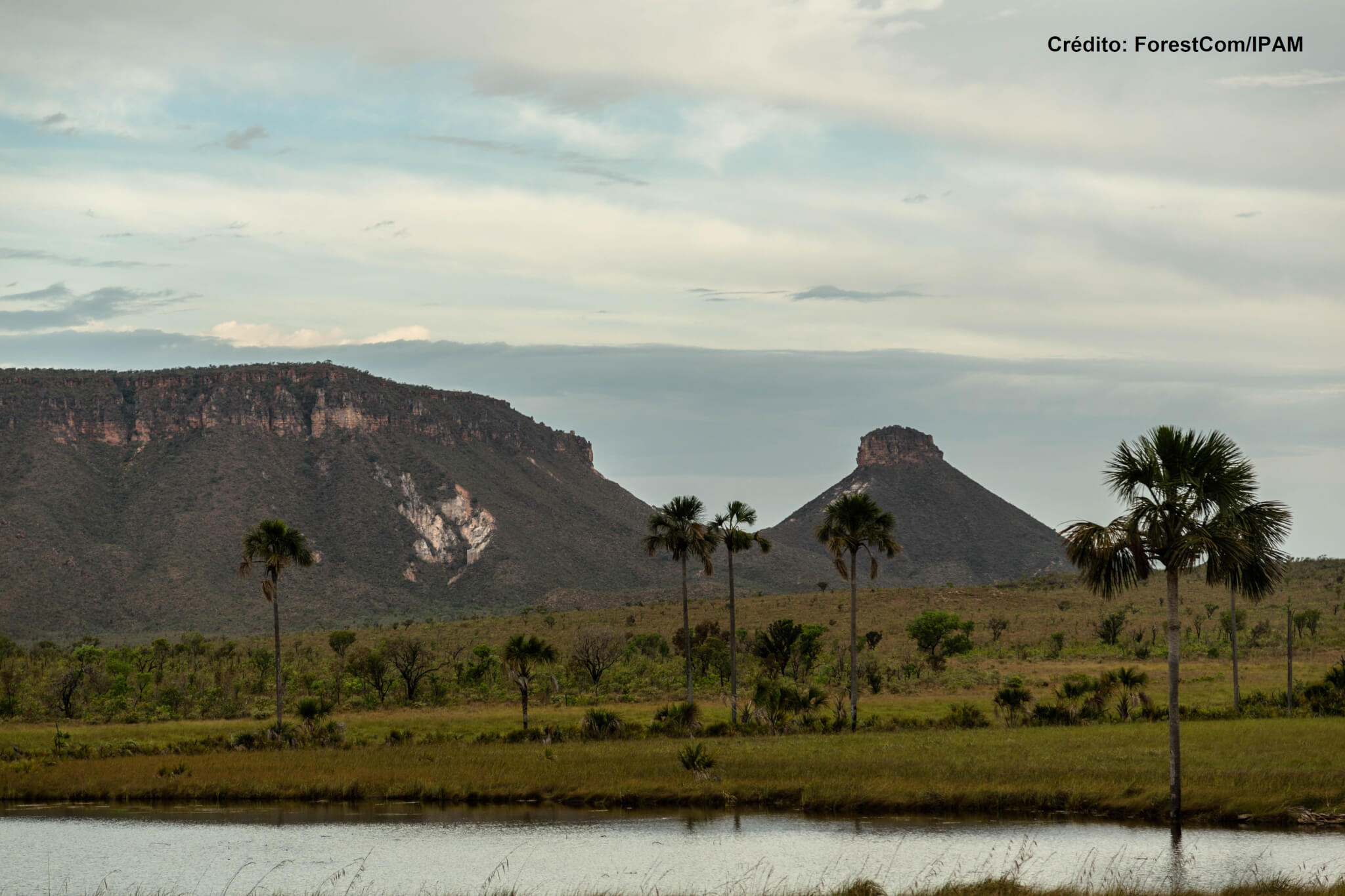 Seminário debate documento sobre Cerrado para os presidenciáveis