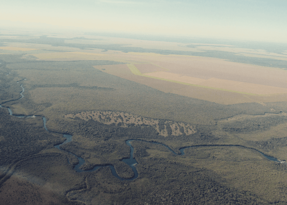 Farmers in the Amazonian State of Mato Grosso may be paid to not deforest