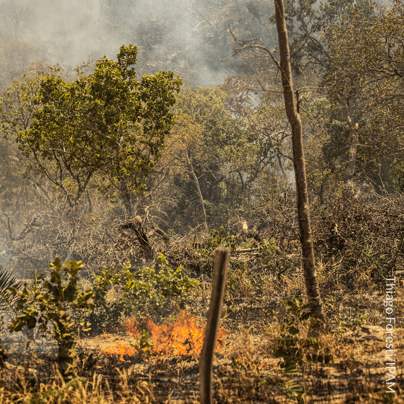 Deep learning ajuda cientistas a olharem fogo no Brasil com lupa