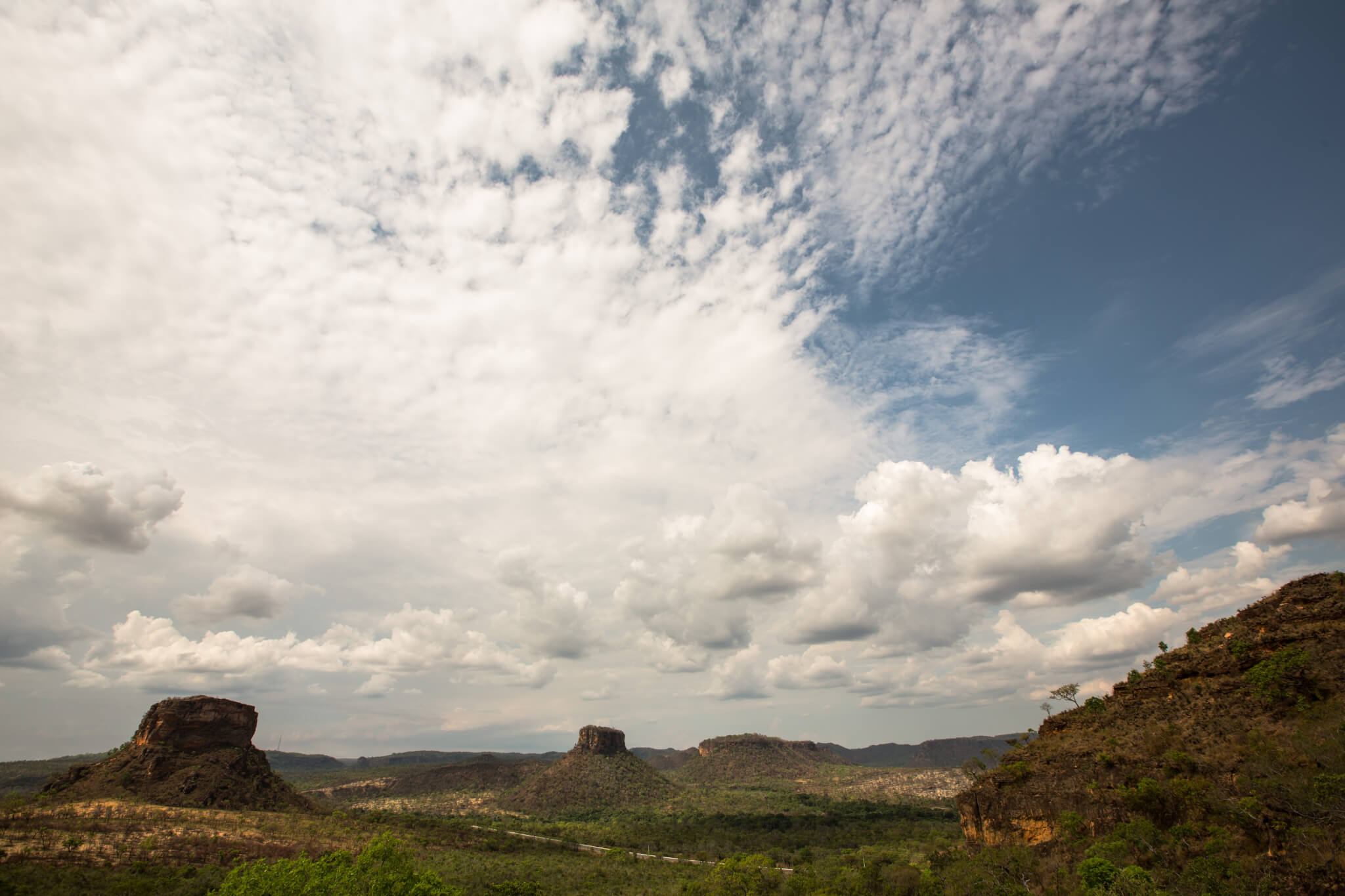 Desmatamento no Cerrado emitiu 7 bi de gases do efeito estufa em 15 anos