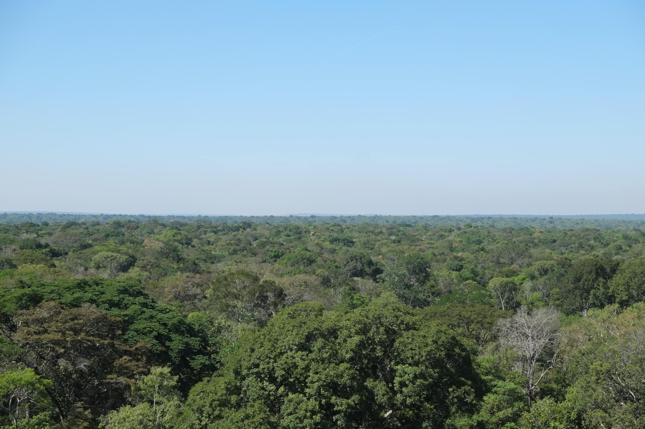 Proposta de alteração no Código Florestal ameaça biomas e economia