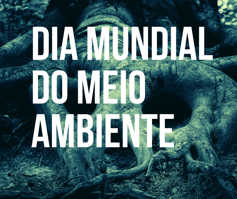 Semana do Meio Ambiente: confira nossa programação na Amazônia