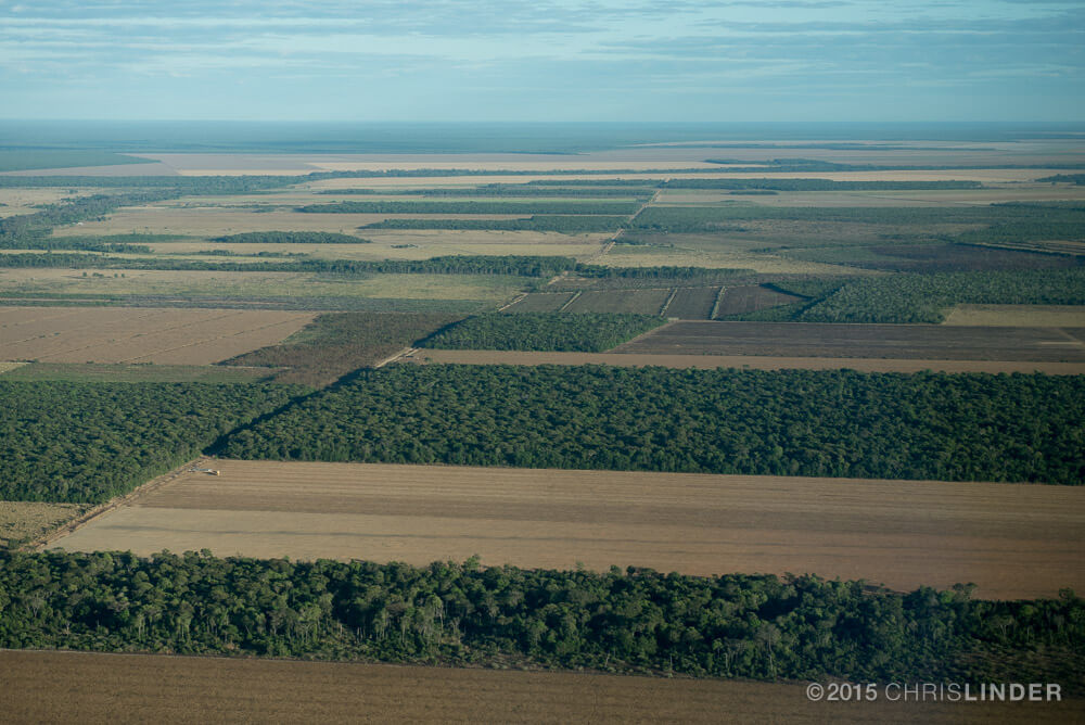 Atividade rural respondeu por 72% das emissões do Brasil em 2019