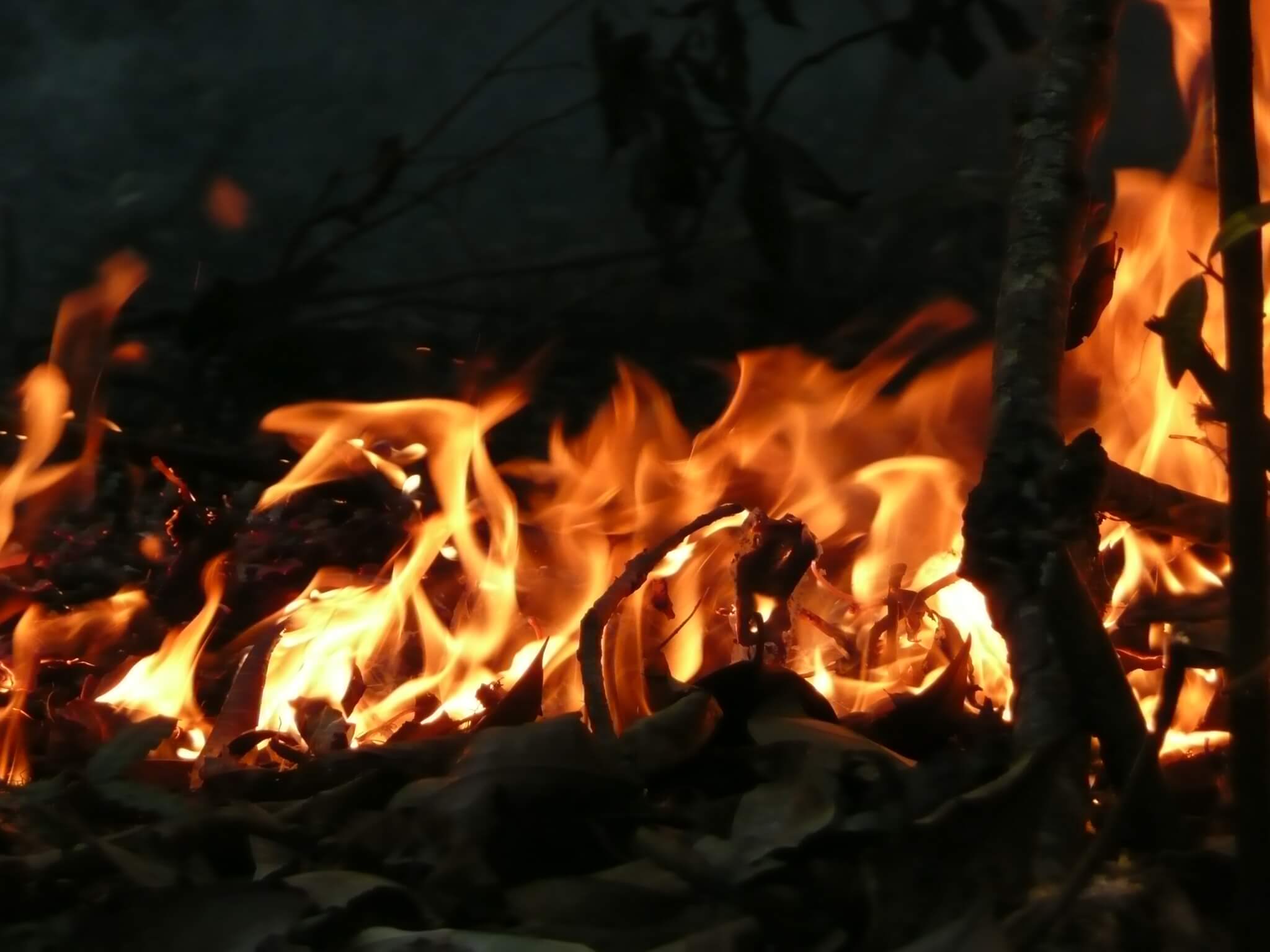 Clima tornará sudeste da Amazônia duas vezes mais inflamável neste século