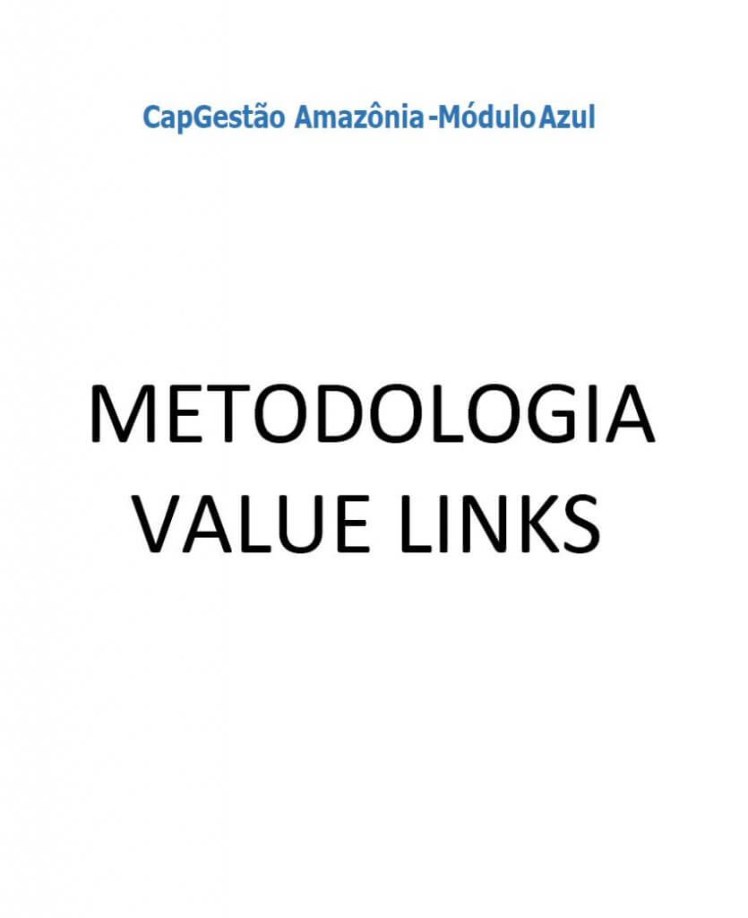 Promoção de cadeias de valor - metodologia Value Links