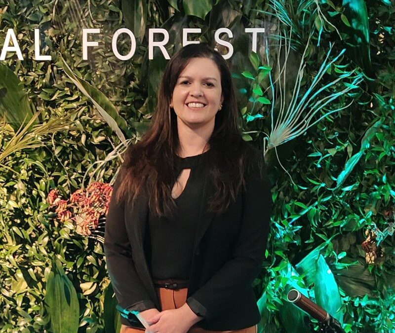 “O mercado de carbono é transitório porque pressupõe reduzir emissões”