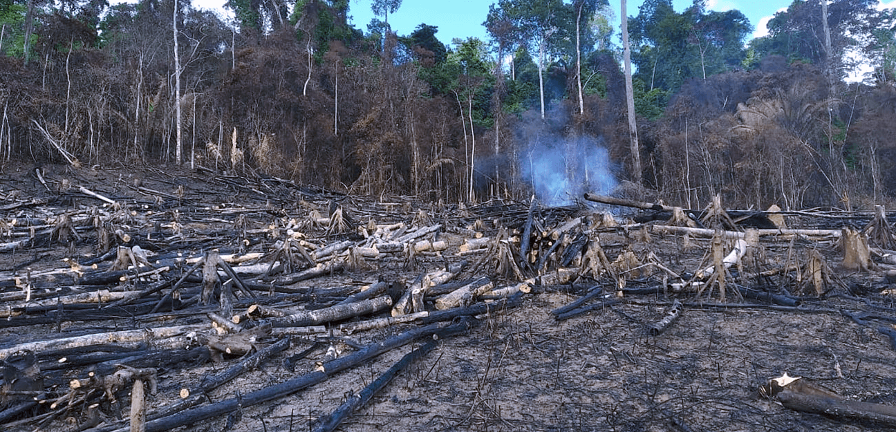 About 17.5% of Brazil has burned at least once in the last 20 years
