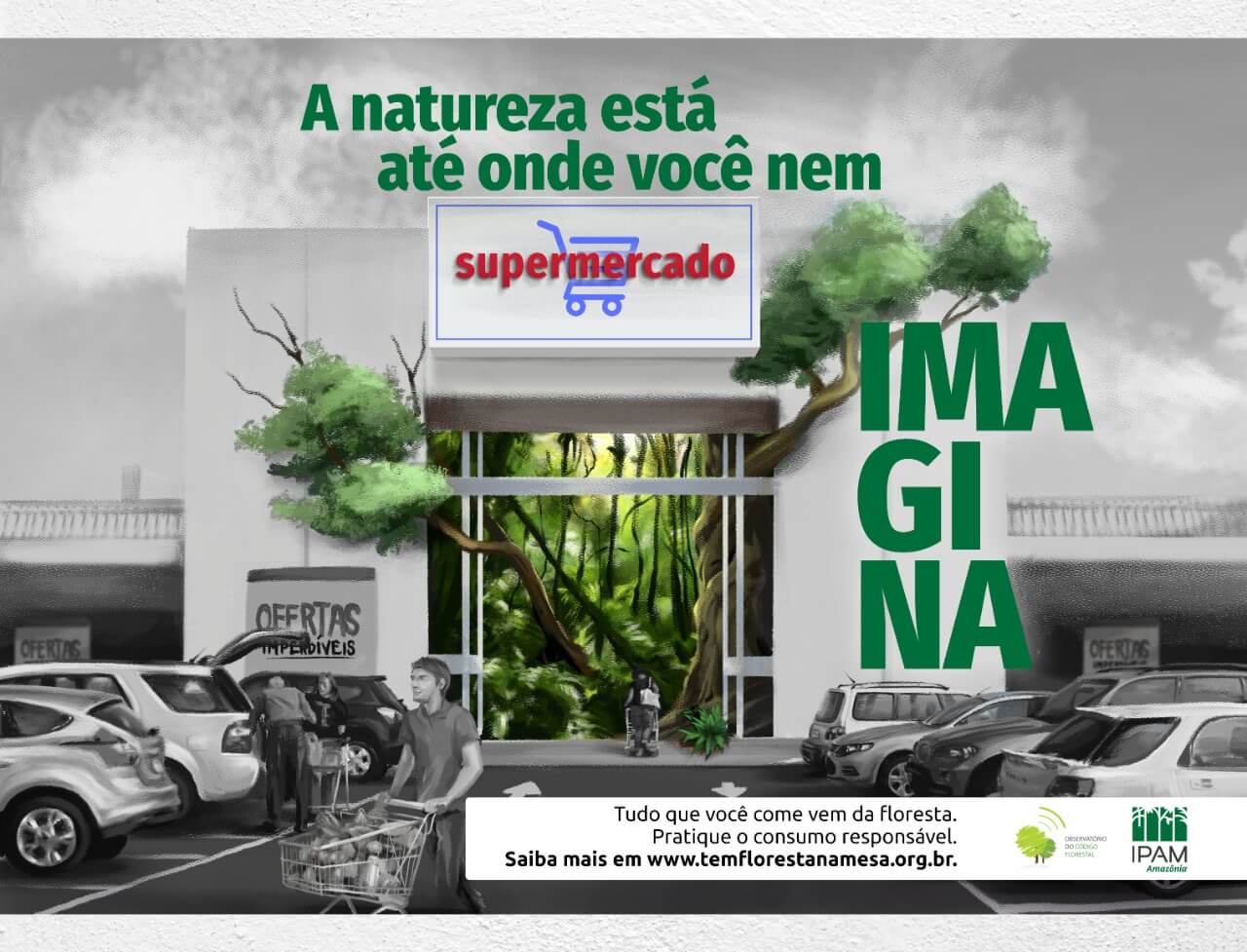 Campanha promove olhar atento ao papel da floresta na produção de alimentos