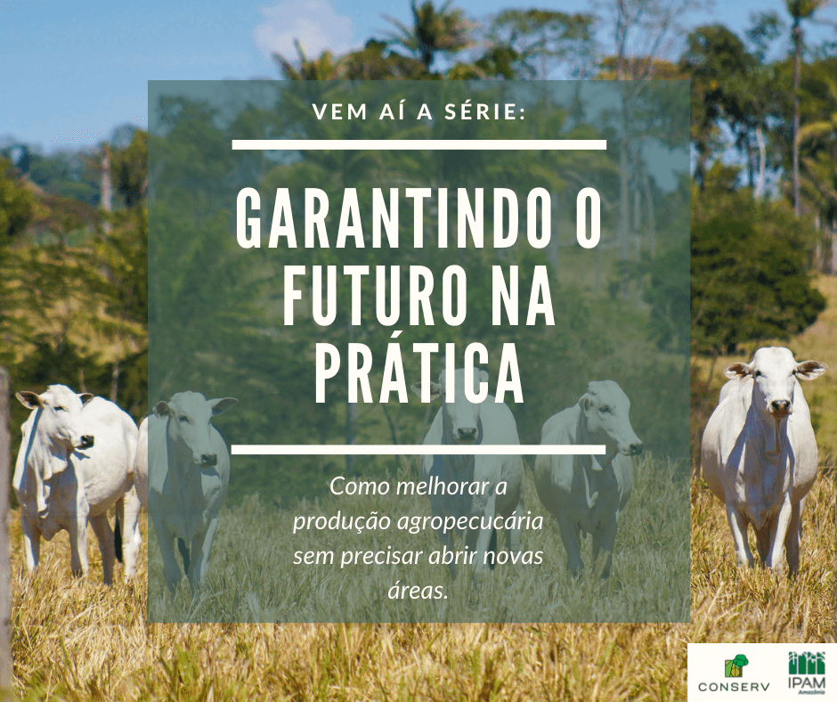 Futuro do agronegócio passa pela valorização do solo brasileiro