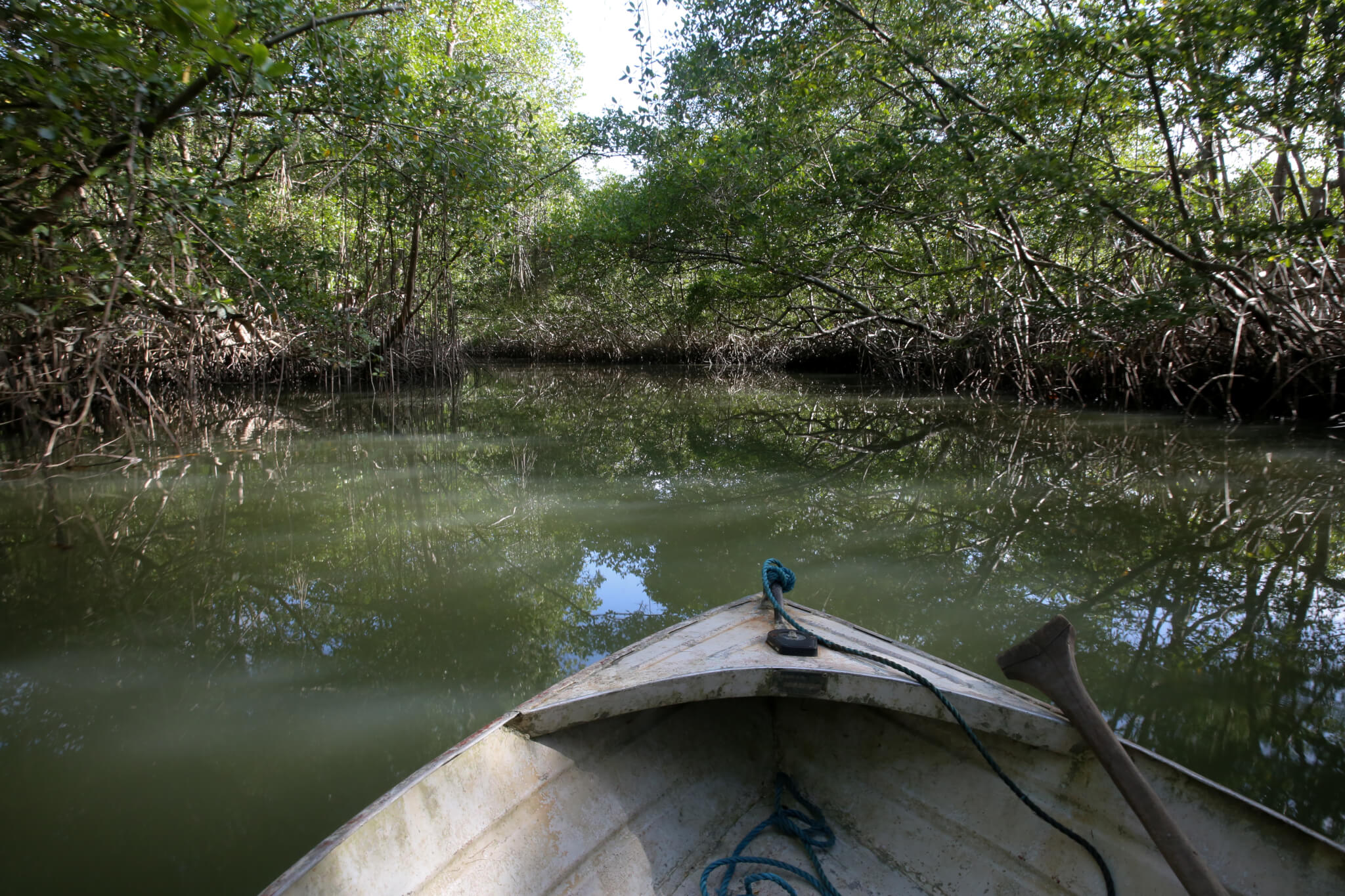 Portal Proteja reúne informações sobre as áreas protegidas do Brasil