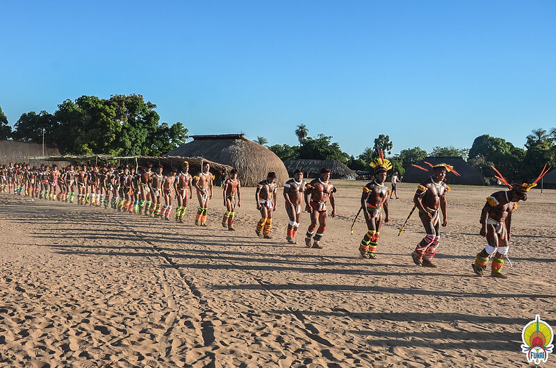 Brasileiros não confiam no governo federal para proteger a Amazônia