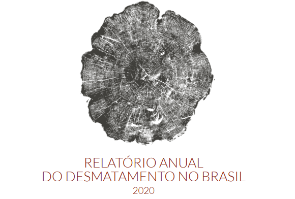 Desmatamento cresce na Amazônia e no Pantanal do Centro-Oeste