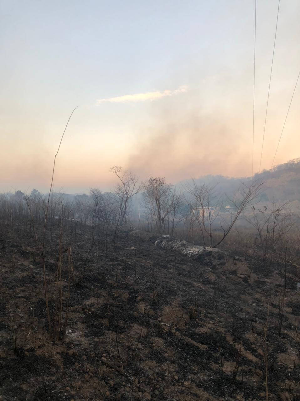 Incêndios causados por ação humana atingem o Cerrado no interior de MT
