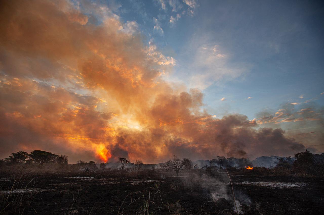 Quase 20% do Brasil queimou ao menos uma vez entre 1985 e 2020