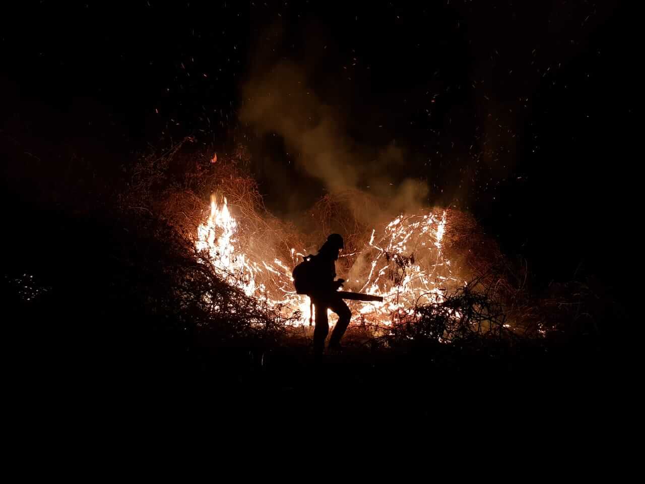 Largest fire in the Pantanal biome this year doubles in size in one day