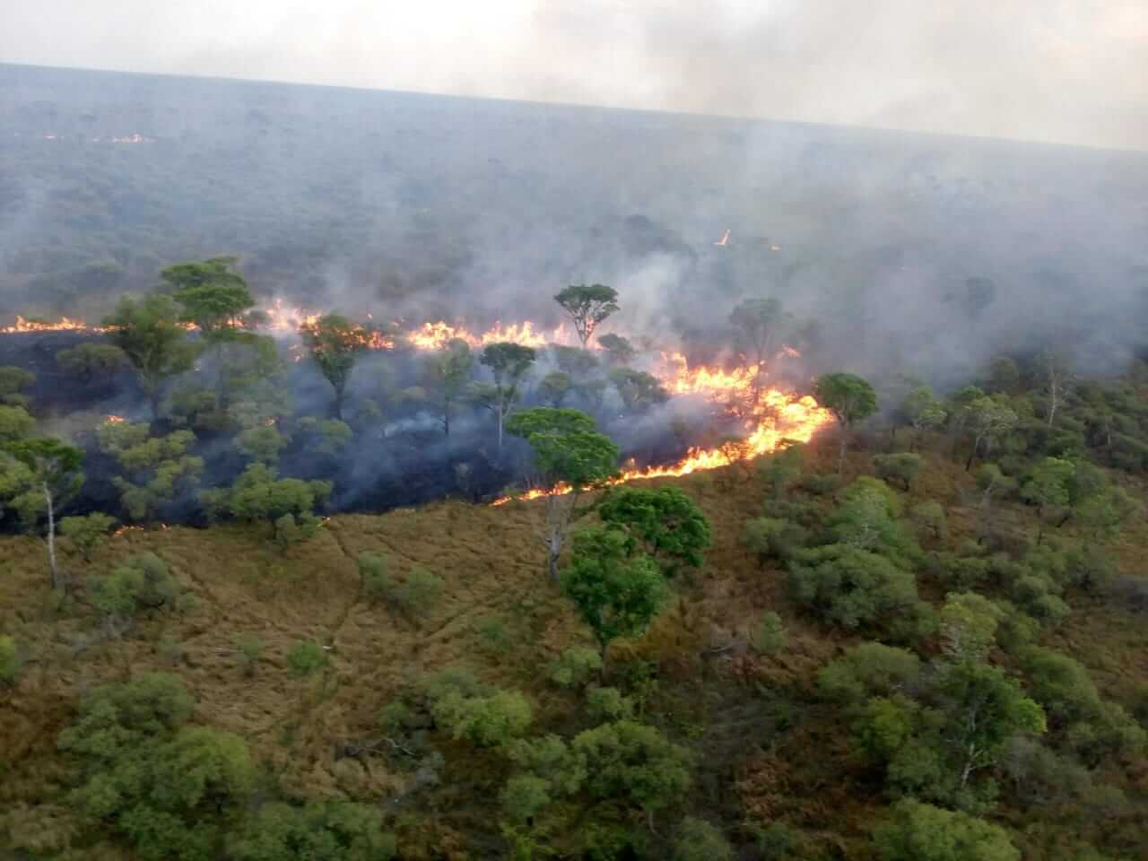 Déficit de brigadas contra incêndios florestais ameaça terras indígenas