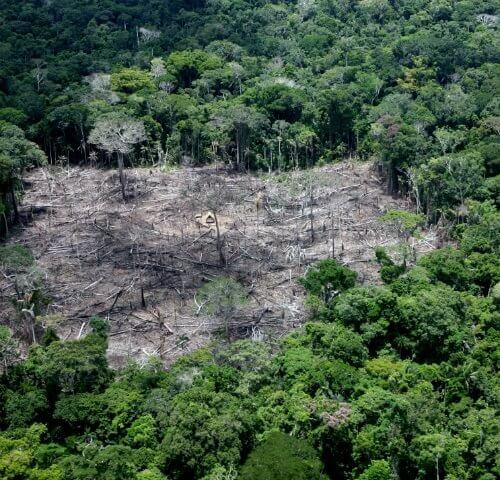 Brasil precisa fazer mais pelo clima, indicam especialistas no Senado