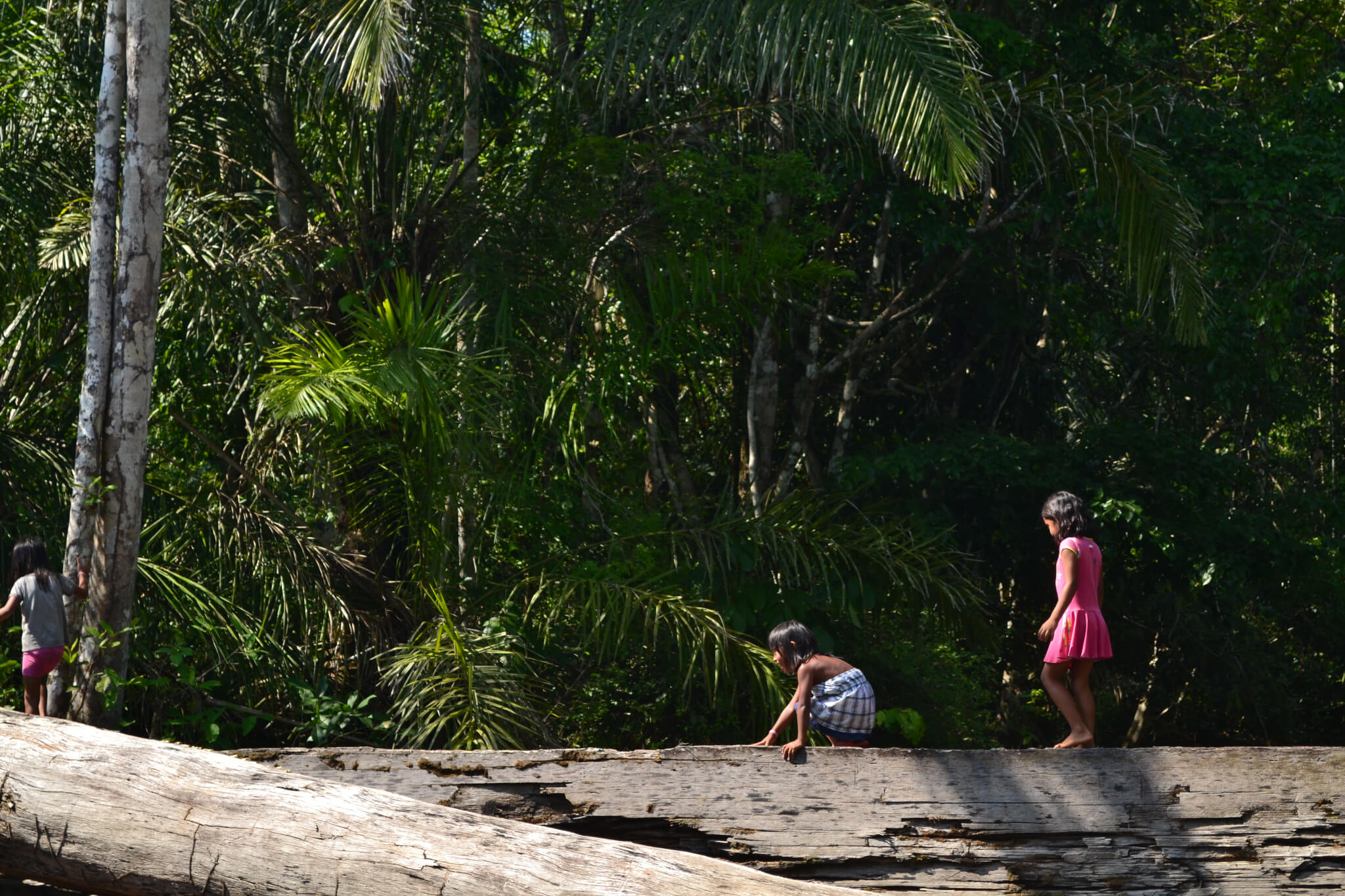 “O ACI é uma ferramenta a mais para nos ajudar a cuidar do nosso território”