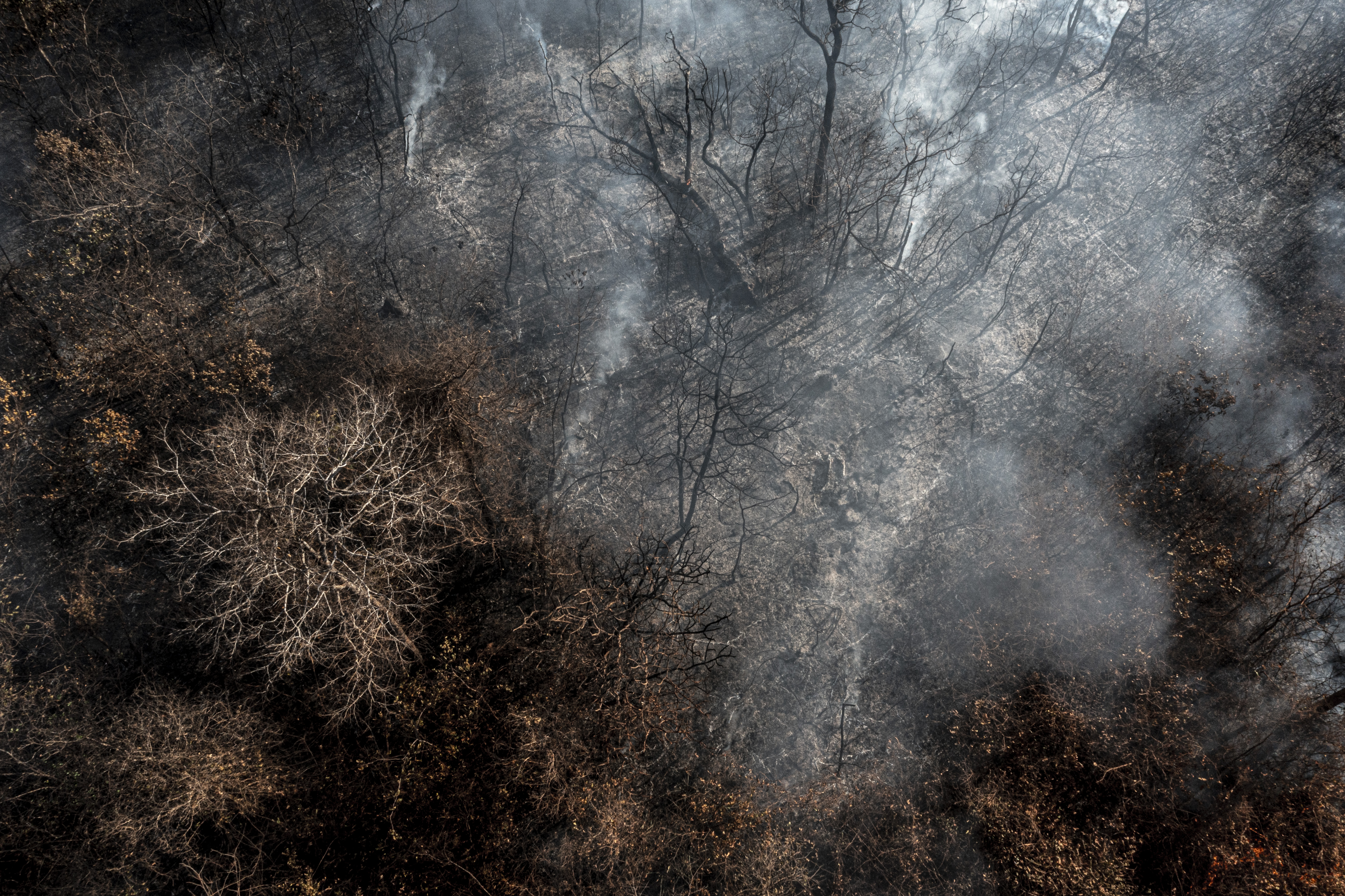 Na contramão do mundo, Brasil aumentou emissões em plena pandemia