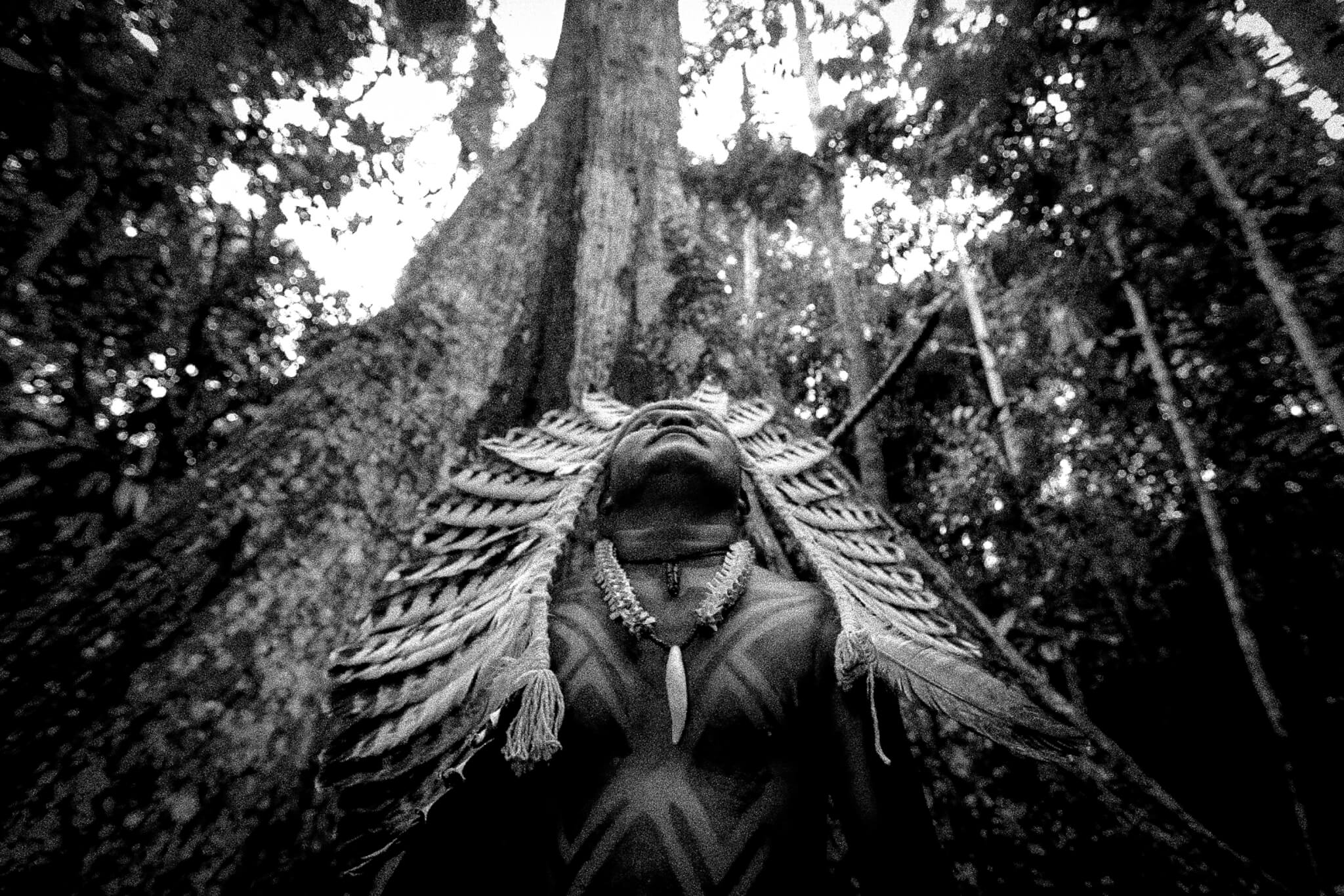 IPAM announces winners of photo contest Amazoniar