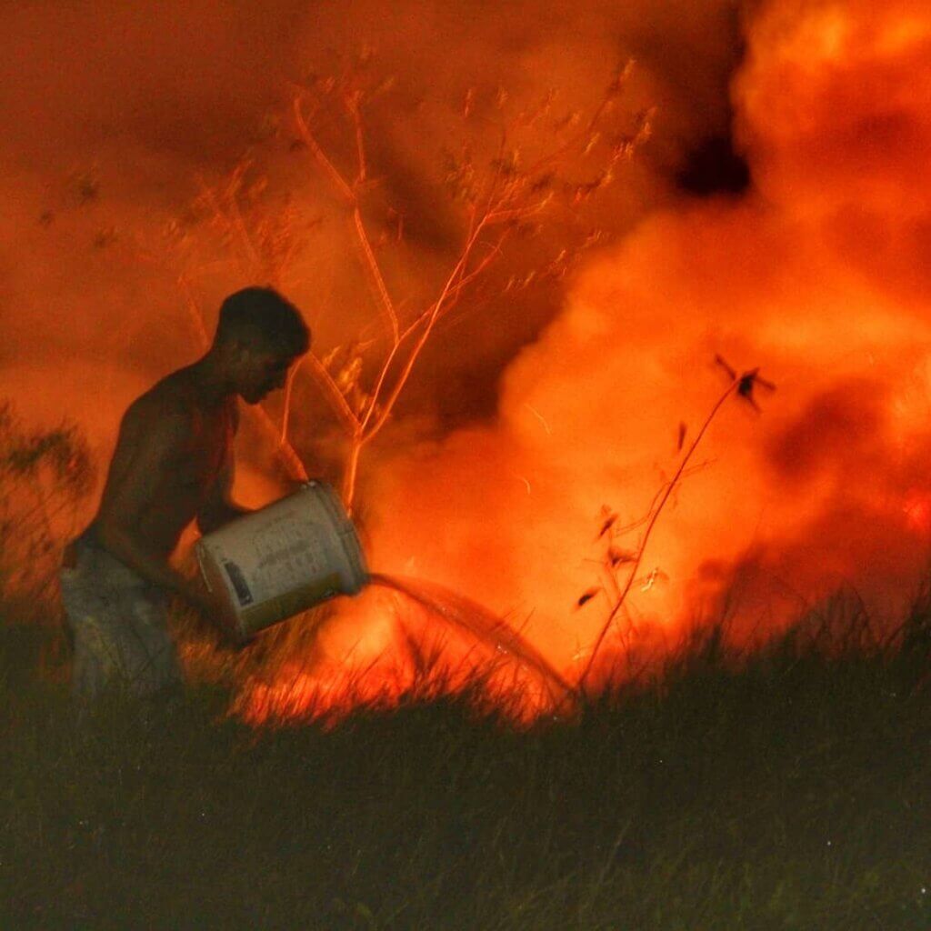 Conservação: Sem título – Foto: José Rodrigues