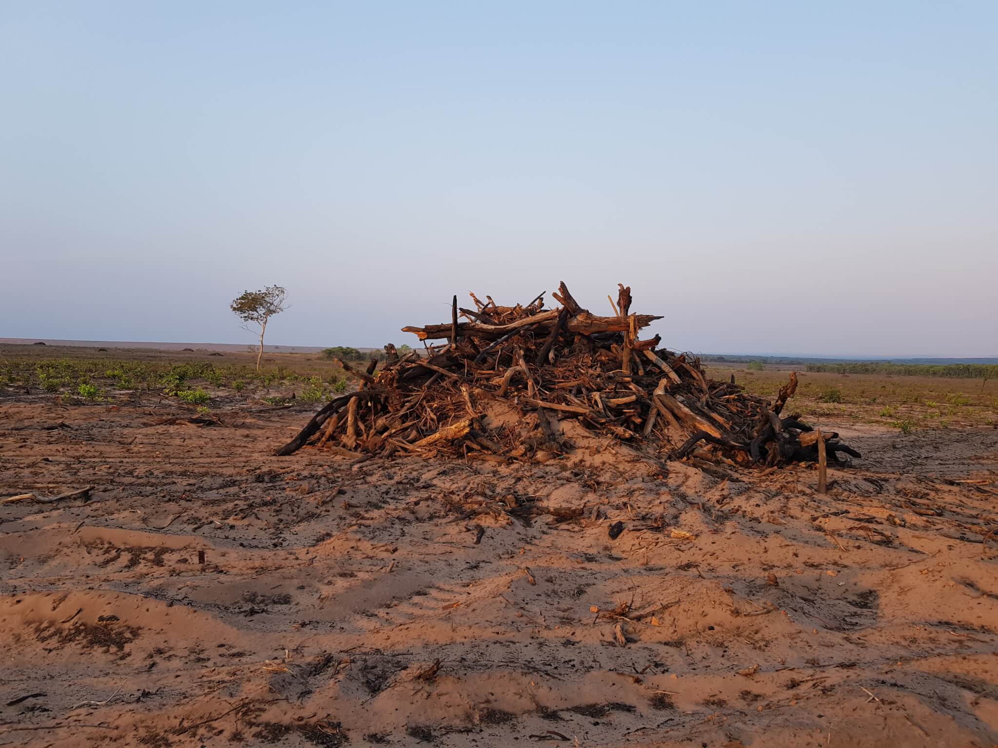 COP26: mudança climática já afeta produção agrícola em 28% do Centro-Oeste