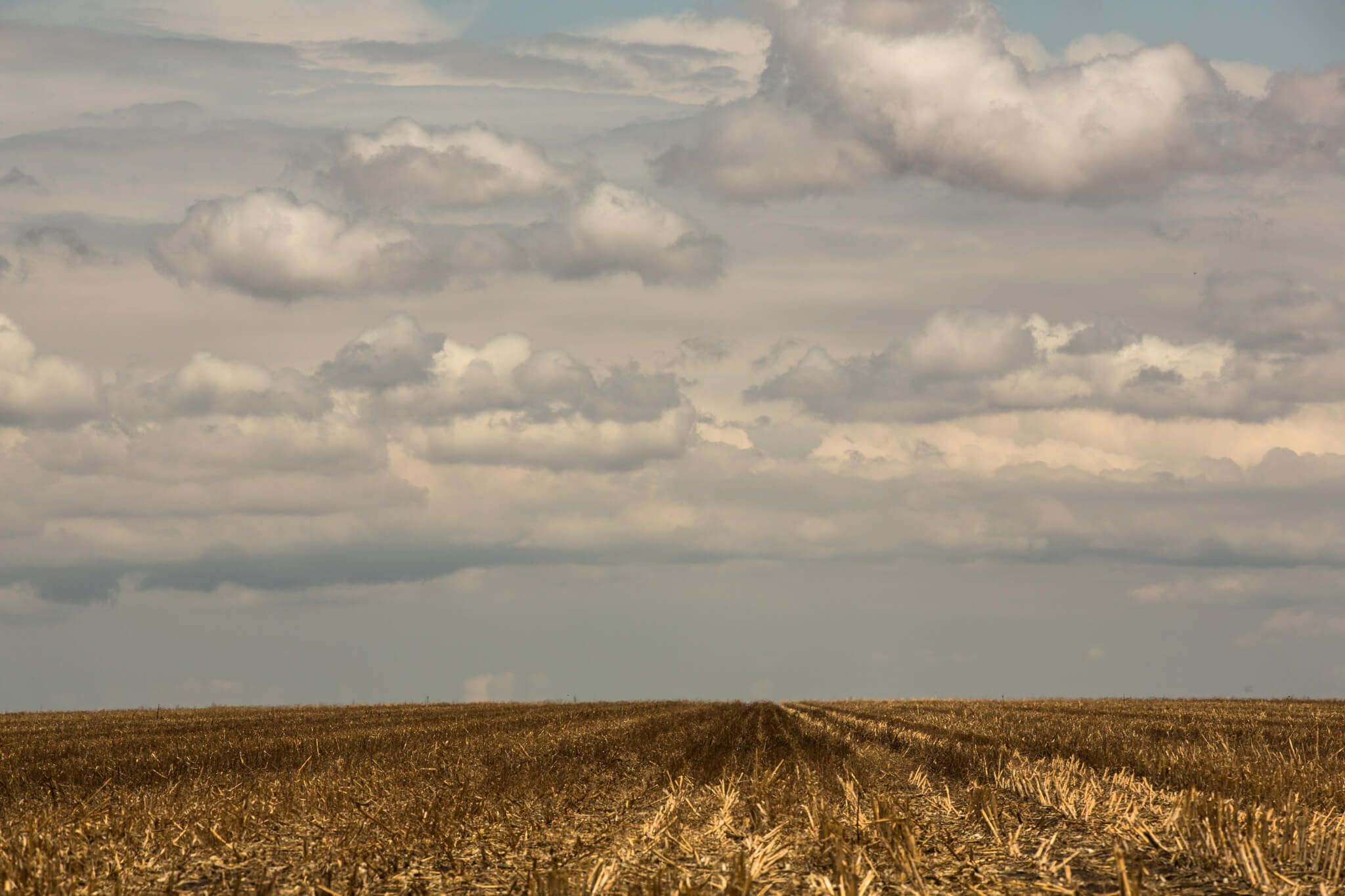 Balsas é o município que mais desmatou o Cerrado no último ano