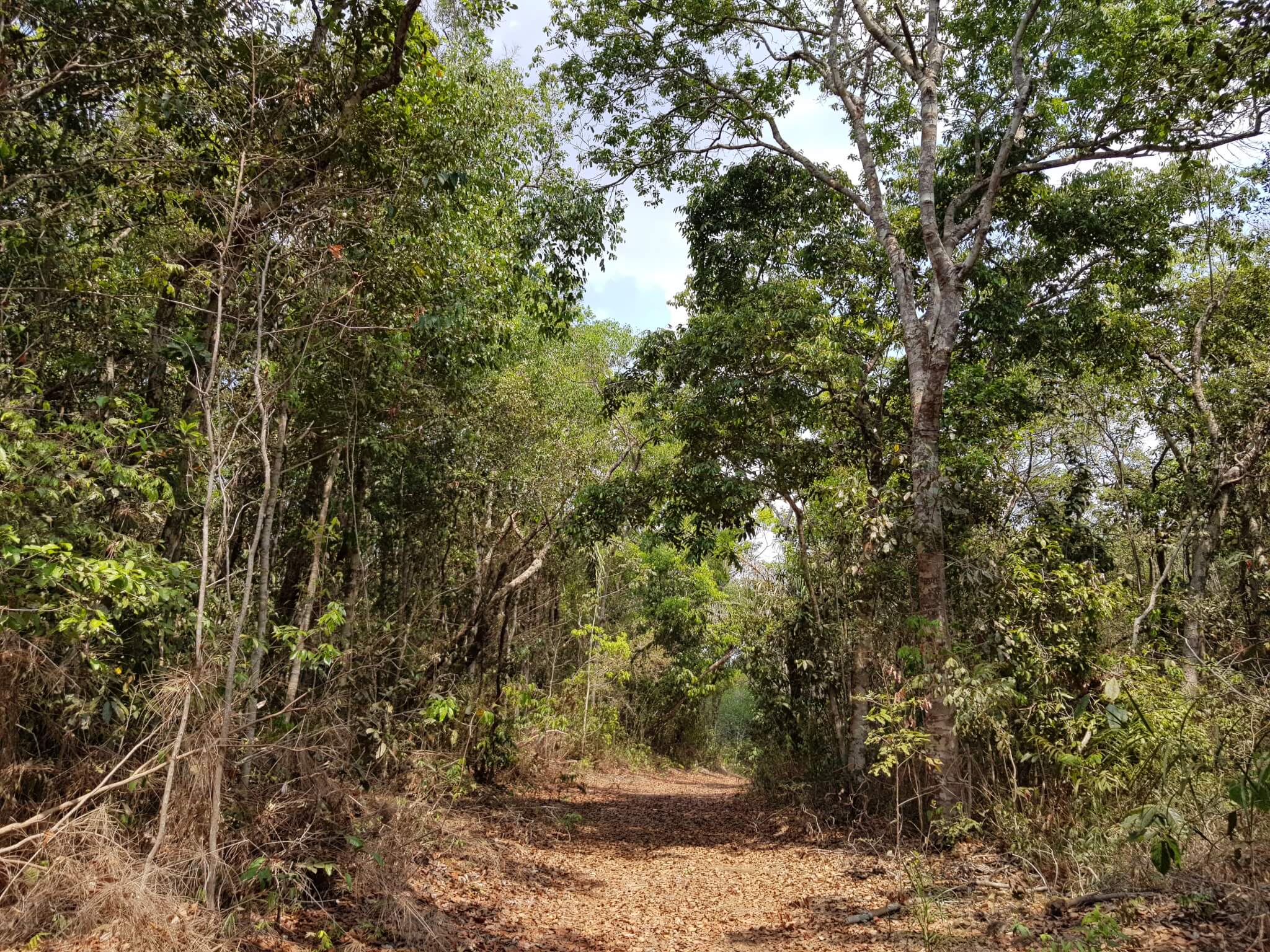 Projeto CONSERV é divulgado na revista científica Frontiers