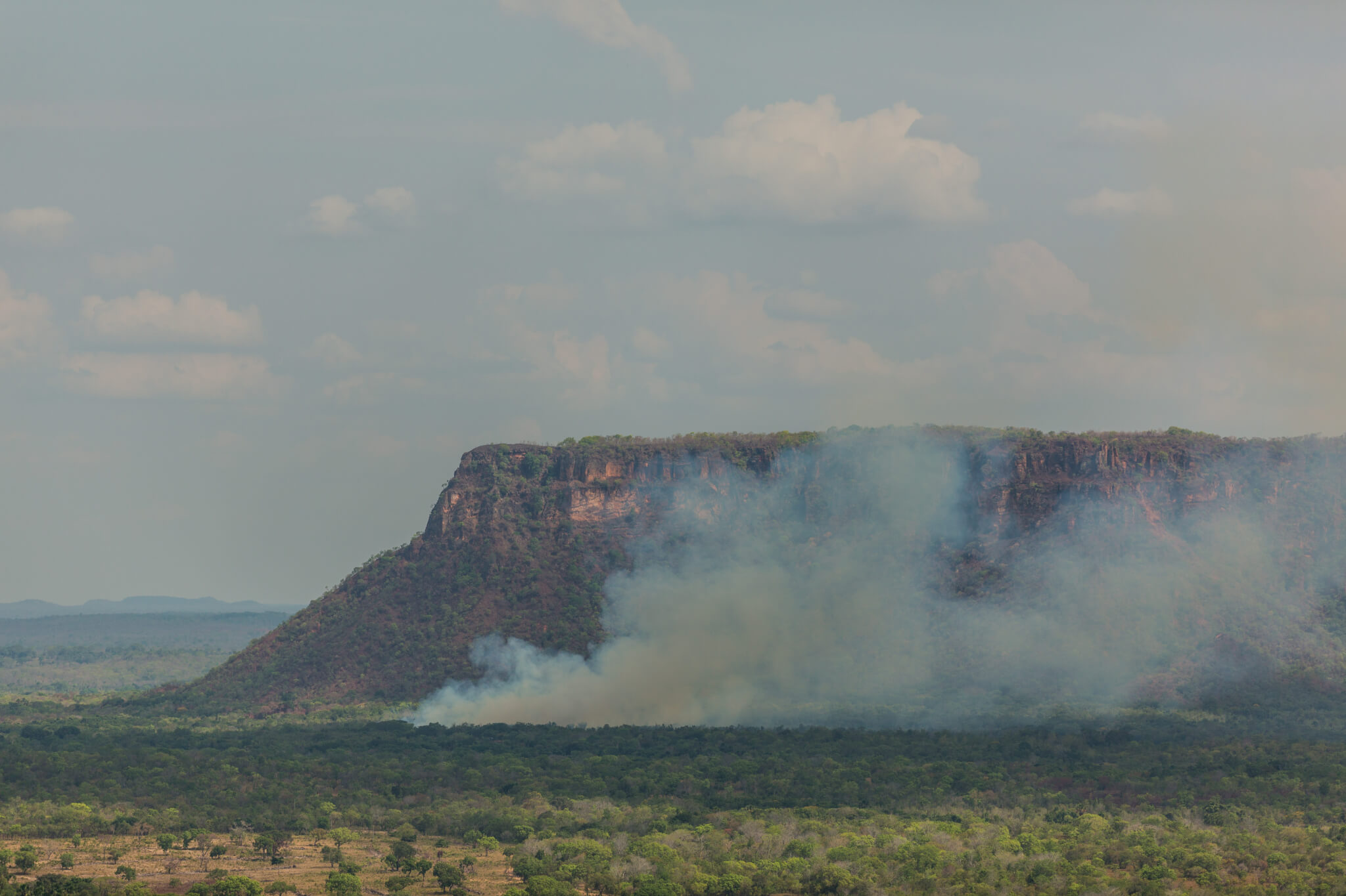 Cerrado tem alta de 20% no desmatamento e maior área derrubada de uma única vez