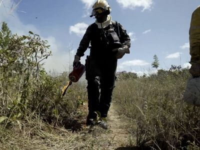 Manejo do fogo como estratégia para reduzir incêndios